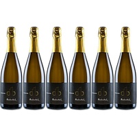 6x Blanc de Blancs Chardonnay brut - Weingut Bender, Pfalz! Sekt/Qualitätsschau...
