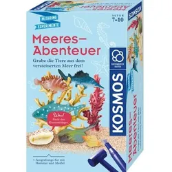 Mitbringspiel Experiment Meeres-Abenteuer
