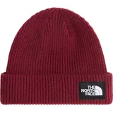 The North Face Salty Lined Beanie burgundy crush (MVO) OS