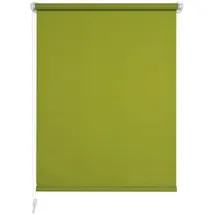 LIEDECO Seitenzugrollo Klemmfix 45 x 150 cm grün