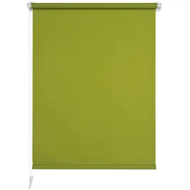 LIEDECO Seitenzugrollo Klemmfix 45 x 150 cm grün