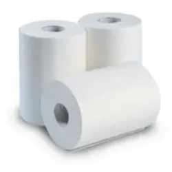 CWS Rollenpapier, 2-lagig C2861000 , 1 Paket = 6 Rollen à 100 Meter