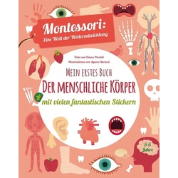 Mein erstes Buch: Der menschliche Körper