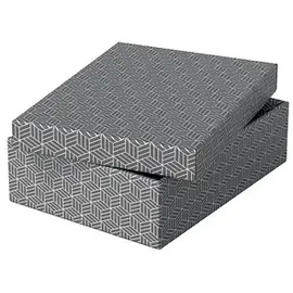 Esselte Home Aufbewahrungsboxen 8,0 l grau 26,5 x 36,0 x 10,0 cm