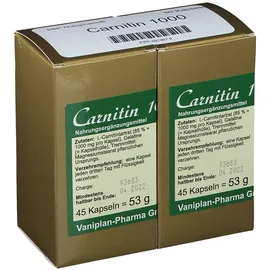 FBK Carnitin 1000