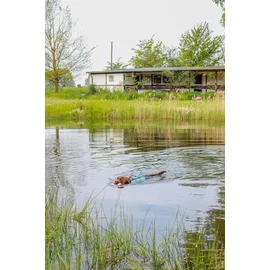 Nobby Hunde Schwimmweste Sharki mit Haiflosse hellblau