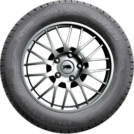 TAURUS Winter 601 175/65 R14 82T