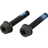 CAMPAGNOLO Schrauben für Flat Mount Bremssattel hinten | 19 mm