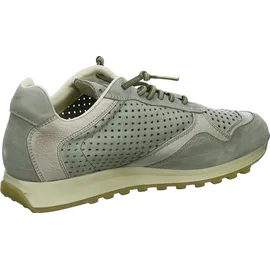 CETTI Sneaker Low Herren Grün 43