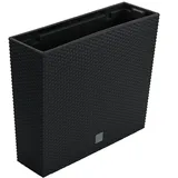 Botle Balkonkasten 58 x 18 x 50 cm Anthrazit