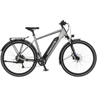 Fischer ATB TERRA 2.2 - grau, 29 Zoll, RH