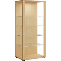 VCM Holz Glas Stand Vitrine Sammelvitrine Glasol lll