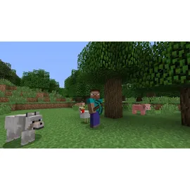 Minecraft (PS Vita)