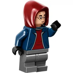 LEGO® - Harry Potter - hp458 - Harry Potter (76418)