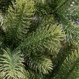 Black Box Trees Weihnachtsbaum Nagoya grün 210 cm