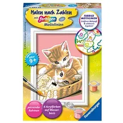 Ravensburger Malen-nach-Zahlen Katzenbabys mehrfarbig