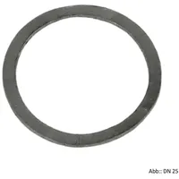 KSB Dichtring für Schmutzfänger Boa-s PN 6/16, DN 15 -20