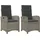vidaXL Gartensessel mit Kissen 2 Stk. Verstellbar Grau Poly Rattan