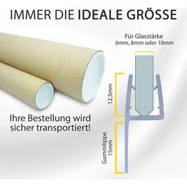 tktrading24 Duschdichtung PVC Ersatzdichtung Duschkabine Dusche TYP-22 200cm Glasstärke10mm