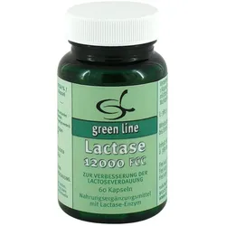 Lactase 12000 FCC