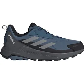 Adidas Herren Multifunktionsschuhe Terrex, wonste-grethr-cblack, 44