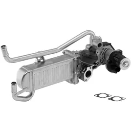 BorgWarner AGR-Modul