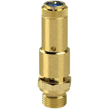 Riegler Sicherheitsventil DN 10 Messing Ansprechdruck 28 bar