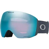 OAKLEY Flight Deck L Prizm Skibrille (Größe One Size, grau)