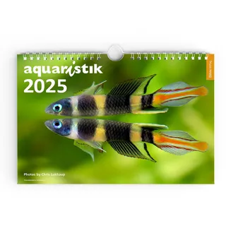 Dähne Verlag aquaristik 2025 - Foto-Wandkalender