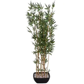 Europalms Zierbambus in Dekoschale, 150cm