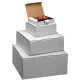 NESTLER Versandkartons Pack-Set XS 22,5 x 14,5 x 3,5 cm, 20 St.