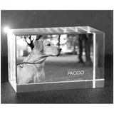 VIP-LASER 2D Gravur Glas Kristall Quader im Querformat XL mit dem Foto von Deinem Hund. Dein Wunschfoto für die Ewigkeit Mitten in Glas! Groesse XL = 80x50x50mm