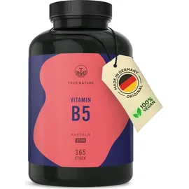 True Nature Vitamin B5 Kapseln 365 St.