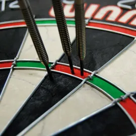 WINMAU Dartboard PRO-SFB im Set inklusive 2 Satz Steeldarts