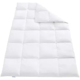 REGINA HOME SLEEP LIVING EST. 1967 Daunendecke, Weiß, Textil, Füllung: Daunen, Federn, 200x200 cm, Oeko-Tex® Standard 100, Schlaftextilien, Bettdecken, Daunendecken