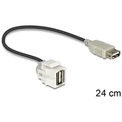 Delock Modulare Eingabe - USB Type A