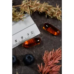 Lecithin 1200 mg Kal 100 ST