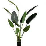fleur ami Kunstpflanze mit Topf Strelitzie mit Solco Topf 160 cm Weiß