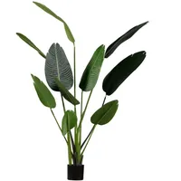 fleur ami Kunstpflanze mit Topf Strelitzie mit Solco Topf 160 cm Weiß