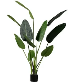 fleur ami Kunstpflanze mit Topf Strelitzie mit Solco Topf 160 cm Weiß