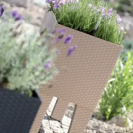 Prosperplast Rato Case High 60 x 25 x 46 cm anthrazit