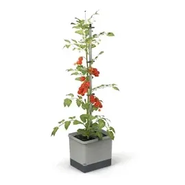 Gusta Garden Tomaten-Power-Set 9-teilig hellgrau