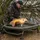 AVID Carp Pro-Tect Safeguard Cradle A0550020