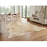 KUHFELL online & NOMAD Fellteppich Kuhfell Beige Rinder Fell Teppich Hellbraun Beige in L & XL 230 cm