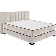 ed lifestyle Boxbett NAGOL