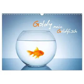Calvendo Goldy - mein Goldfisch (Wandkalender 2026 DIN A3 quer), CALVENDO Monatskalender: Lasse dich von Goldy dem Goldfisch ein Jahr in 12 Bildern begleiten (CALVENDO Tiere)