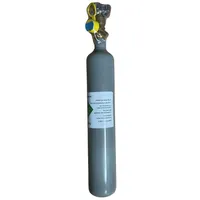 ich-zapfe CO2 - Flasche 0,5 kg ohne Flaschencage