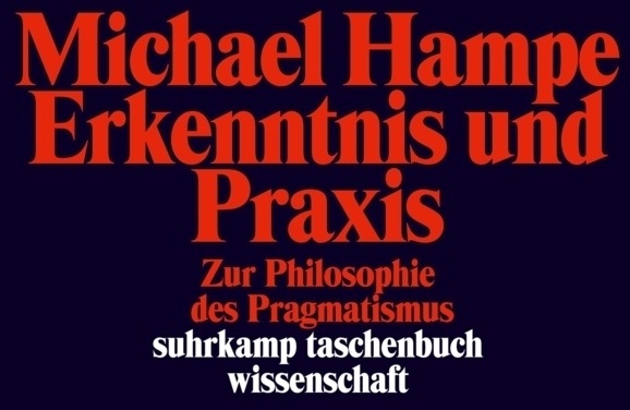 Erkenntnis Und Praxis - Michael Hampe  Taschenbuch