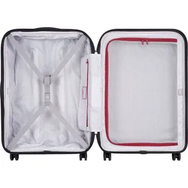 Delsey Segur 2.0 4-Rollen 69,5 cm / 82 l grey