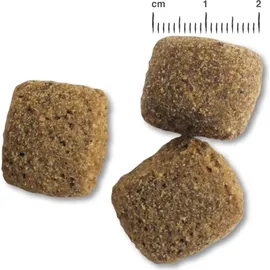 Belcando Junior Maxi 2 x 12,5 kg